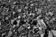 zv�t�it